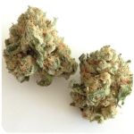 Шишки "White Widow" (Белая вдова) Гидропоника - Бошка VHQ в Красноармейске Шишки "White Widow" (Белая вдова) Гидропоника - Бошка VHQ в Красноармейске