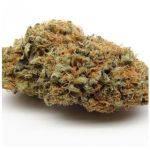 Шишки AK47 (Гидропоника, Бошка) VHQ в Красноармейске Шишки AK47 (Гидропоника, Бошка) VHQ в Красноармейске