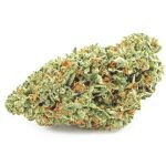 Шишки OG Kush (Гидропоника, бошки) VHQ в Красноармейске Шишки OG Kush (Гидропоника, бошки) VHQ в Красноармейске